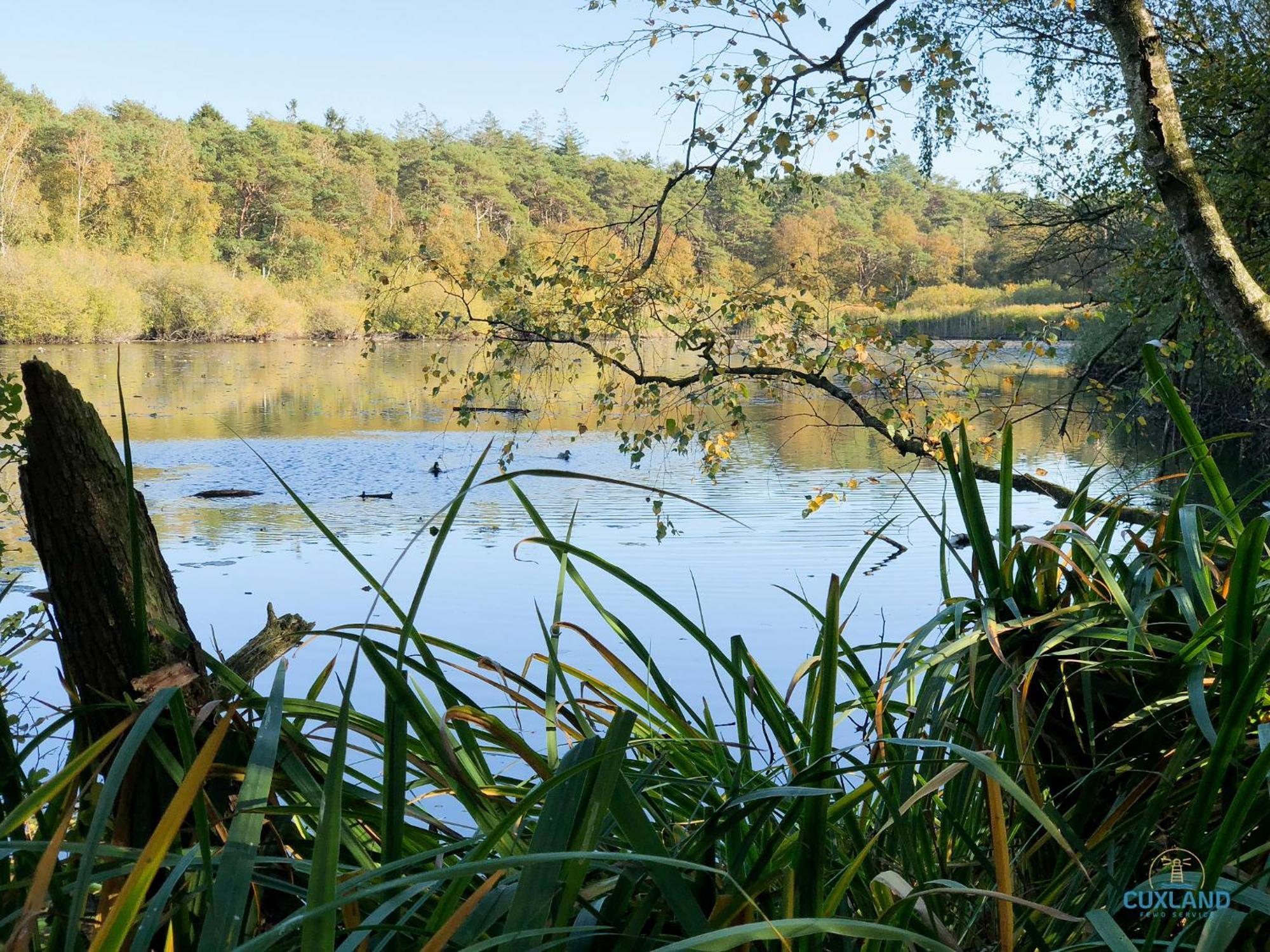 Auszeit Am Wernerwald Im Haus Frauenpreiss Lägenhet Cuxhaven Exteriör bild