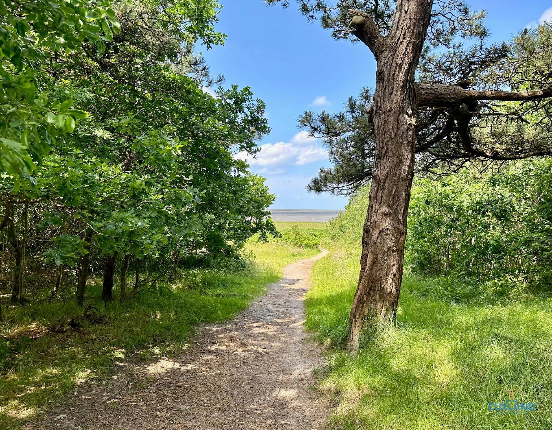 Auszeit Am Wernerwald Im Haus Frauenpreiss Lägenhet Cuxhaven Exteriör bild